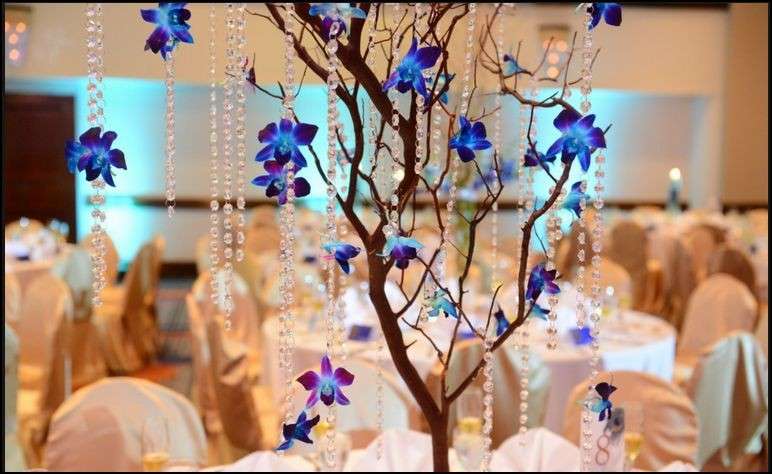 Alberello con orchidee blu