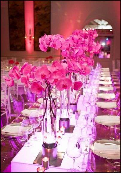 Matrimonio in rosa