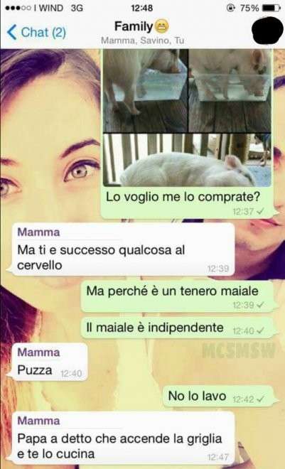 La mamma non accetta maiali in casa