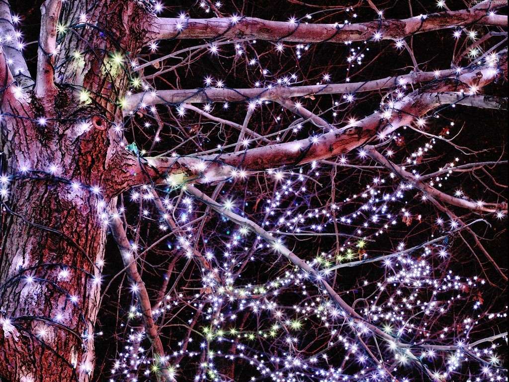 Addobbi natalizi luminosi da esterno