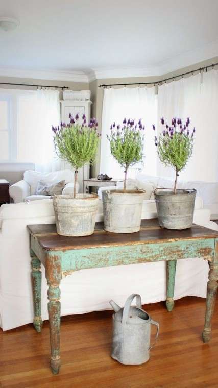 Arredare con la lavanda
