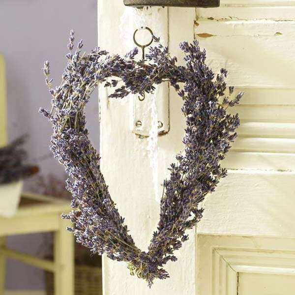 Cuore di lavanda