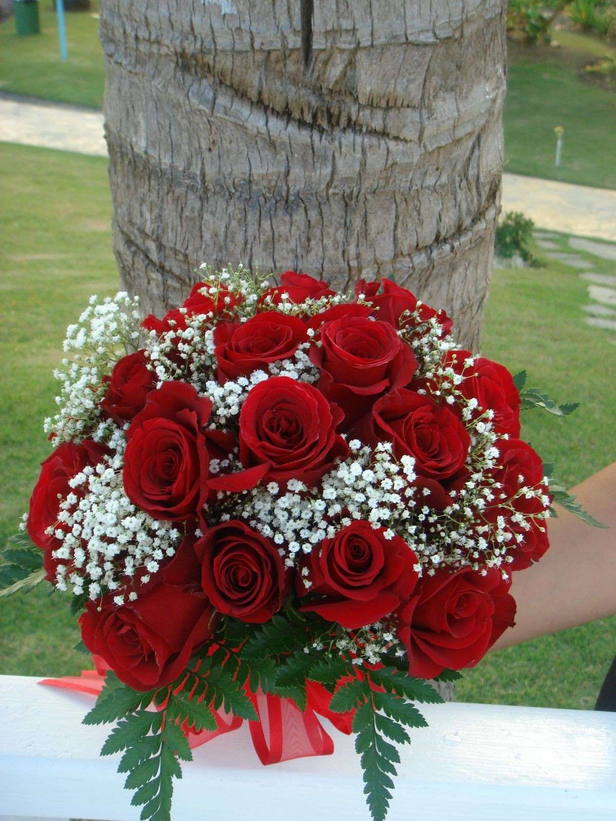 Rose rosse e boccioli bianchi