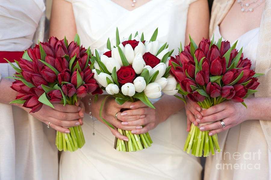 Bouquet con tulipani rossi