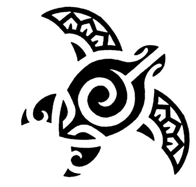 Tartaruga Maori