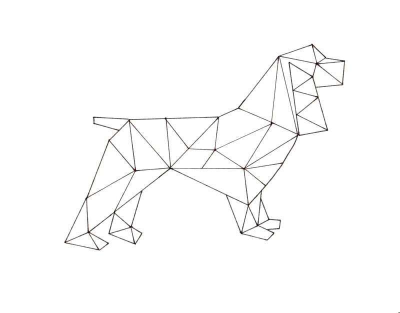 Disegno di un cane