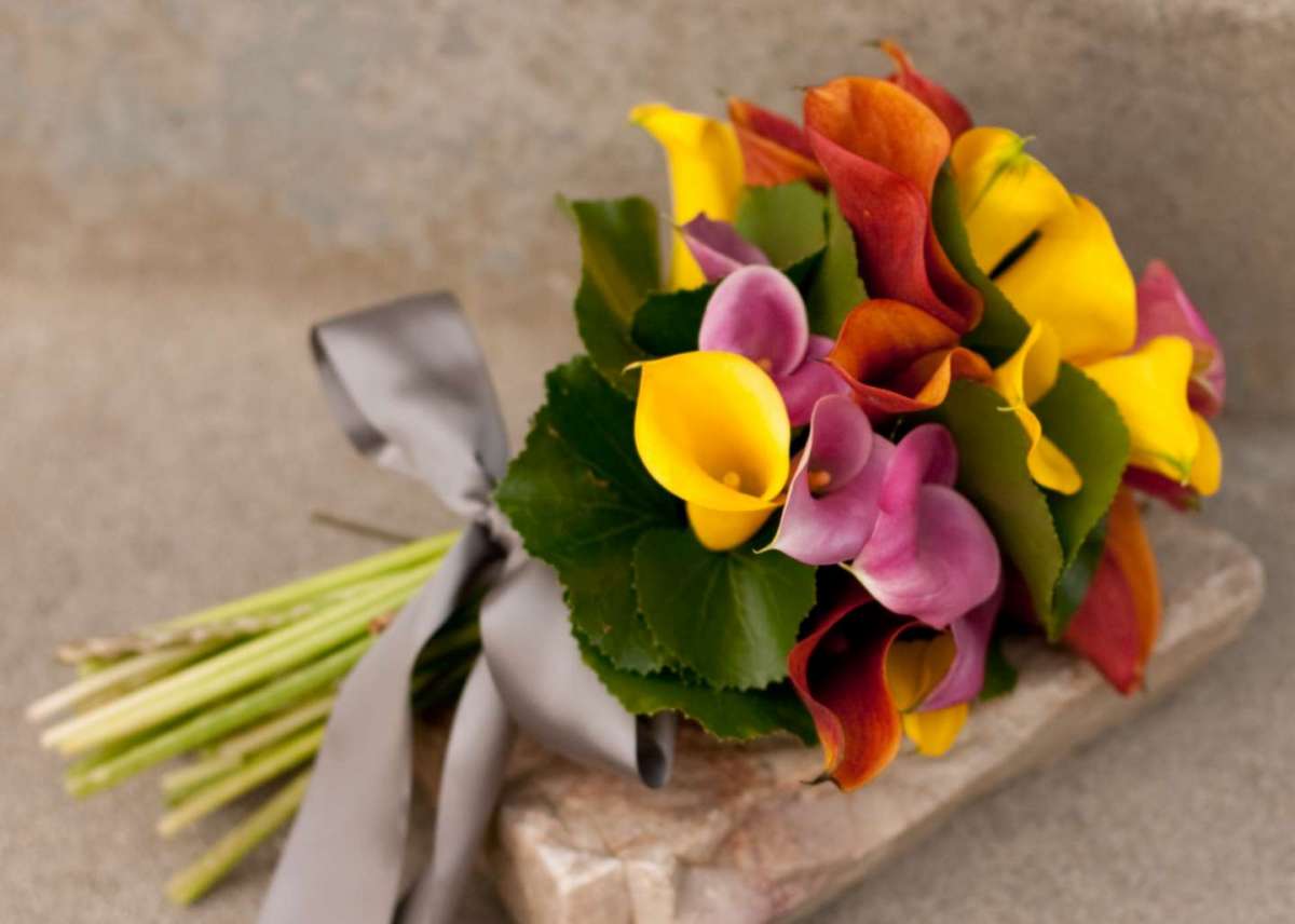 Bouquet multicolore con calle