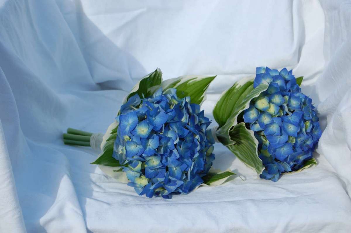Bouquet azzurri chic