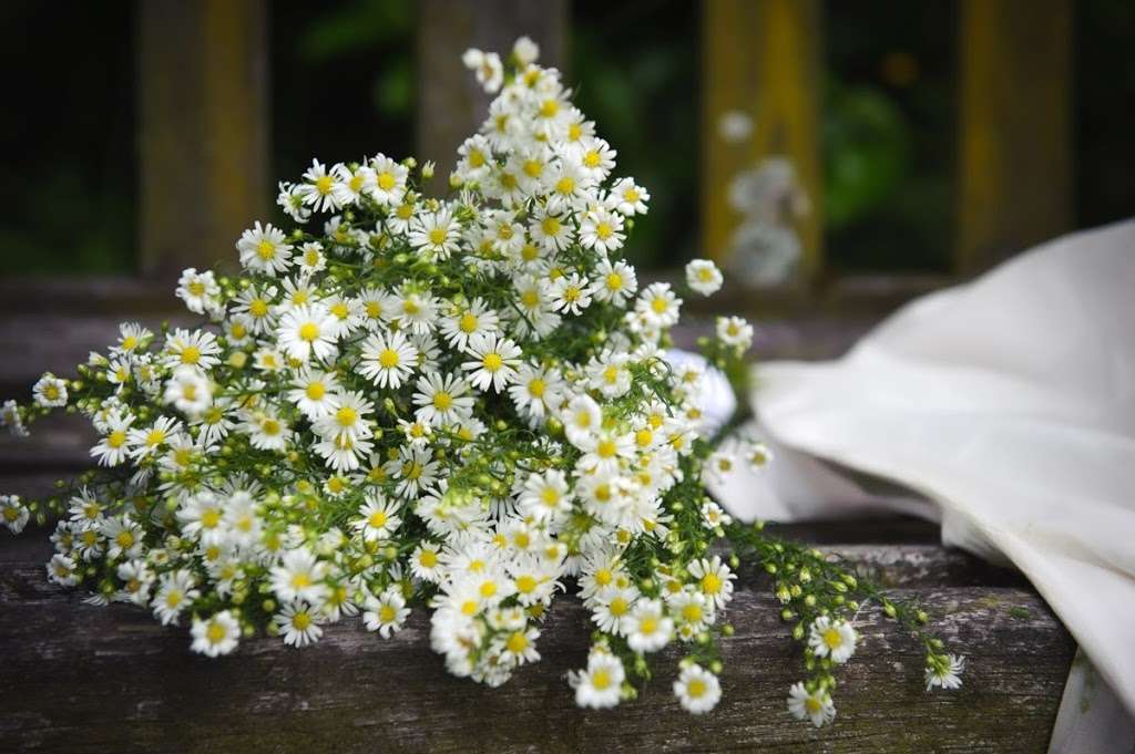Bouquet semplice con margherite