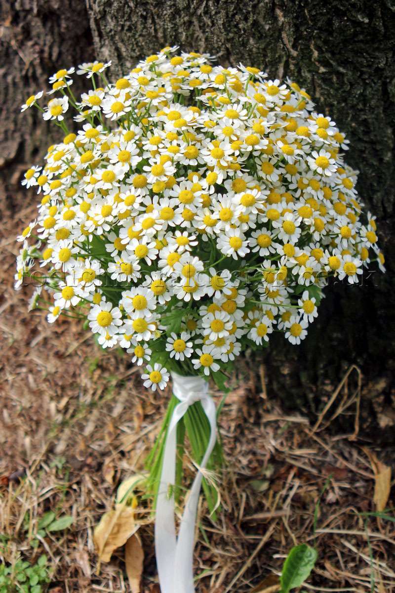 Bouquet semplice country chic