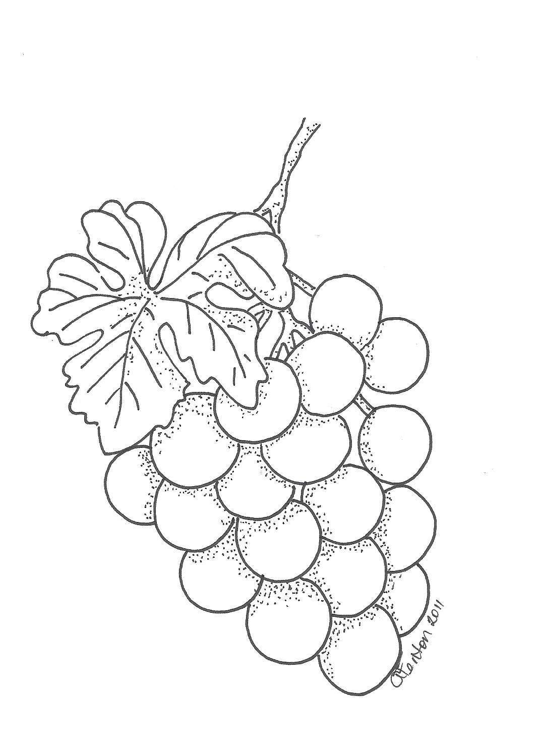Disegno dell'uva