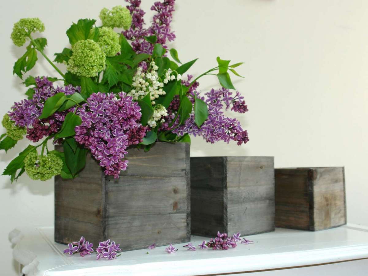 Scatoline con fiori viola