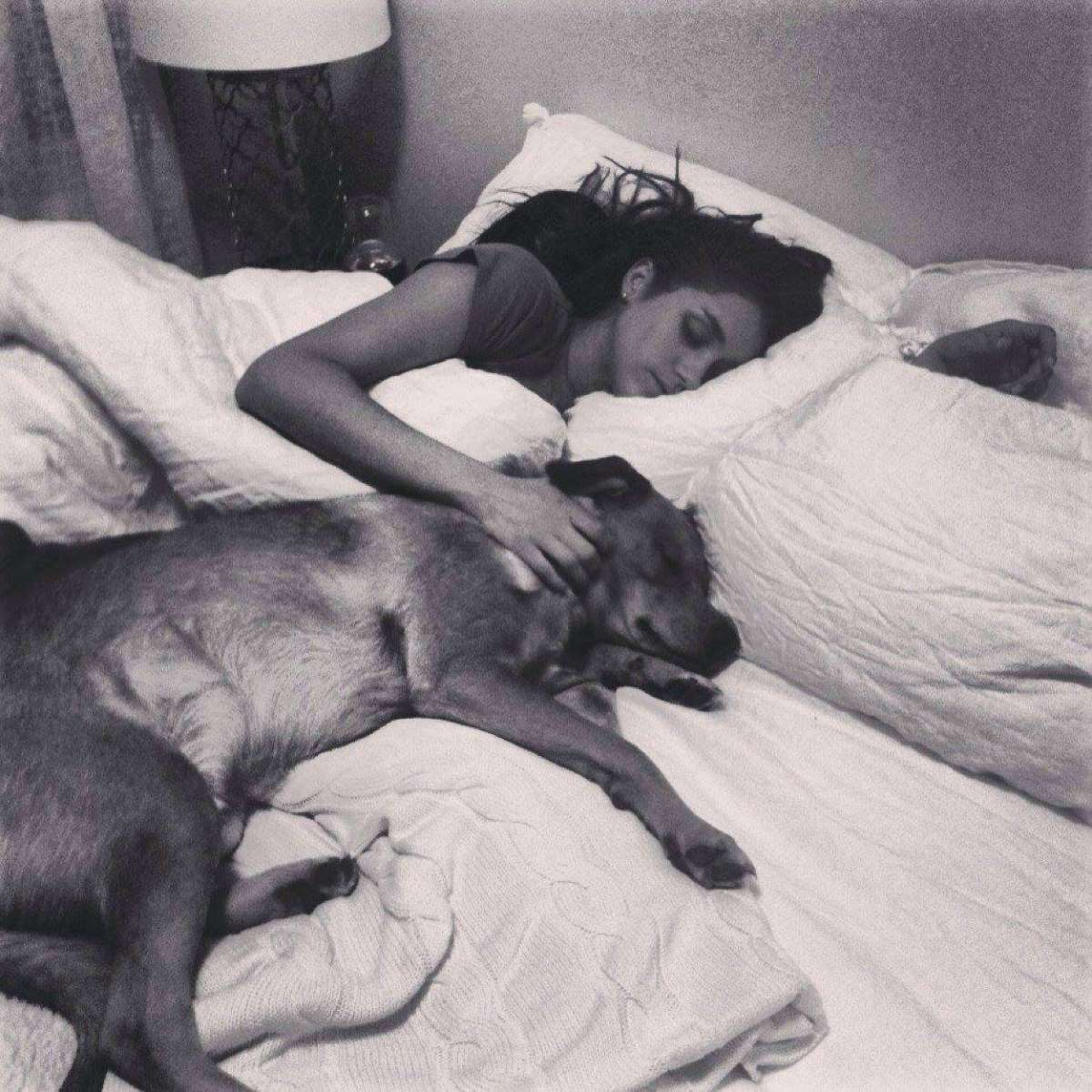 L'attrice americana dorme con il cane a letto