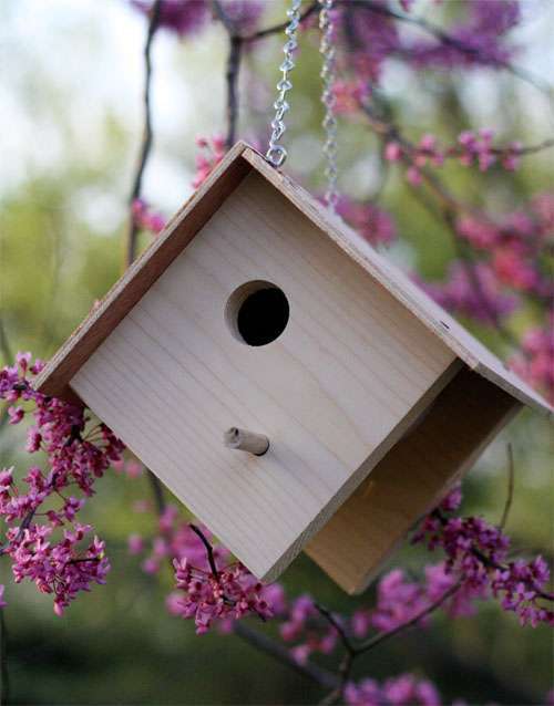 Casette e nidi in legno per uccelli