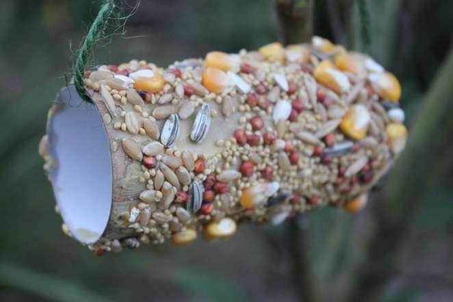 Mangiatoia per gli uccellini