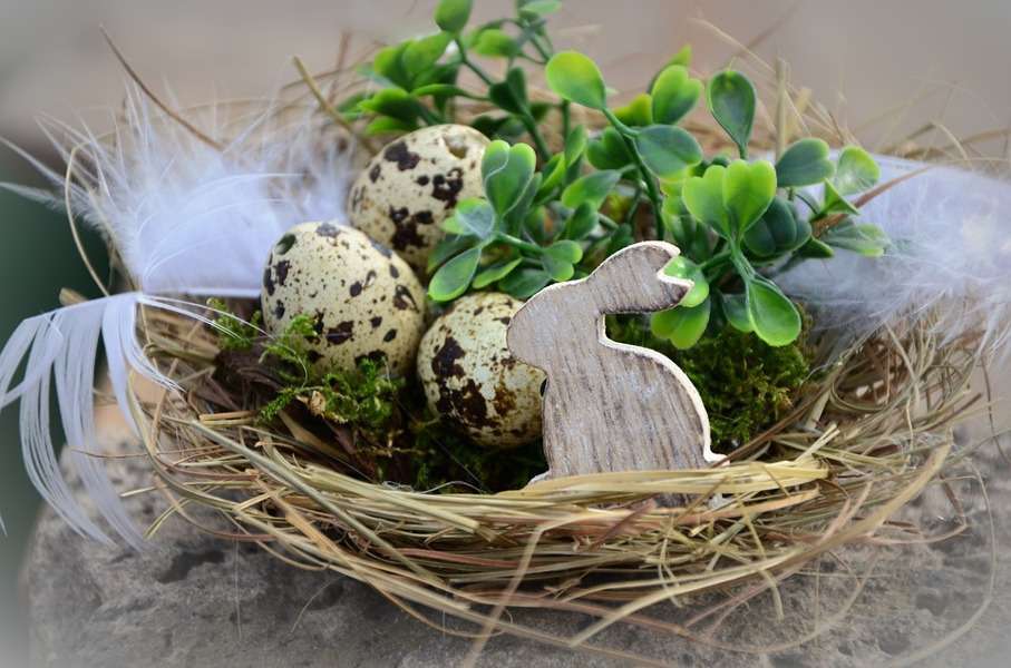 Uova coniglietti