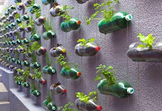 Bottiglie per il giardino verticale