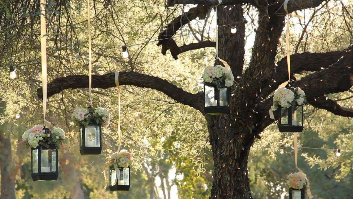Lanterne appese agli alberi