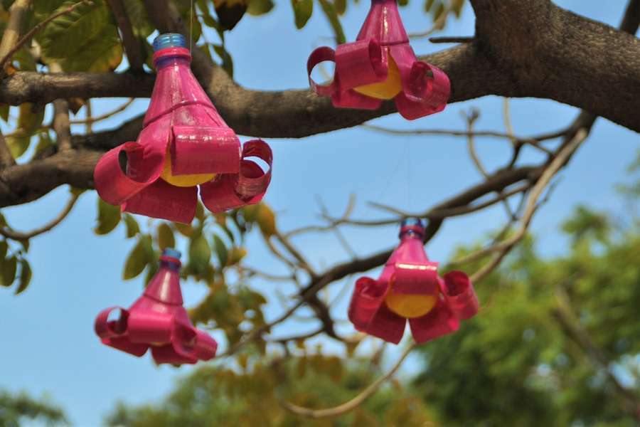 Riciclo delle bottiglie di plastica