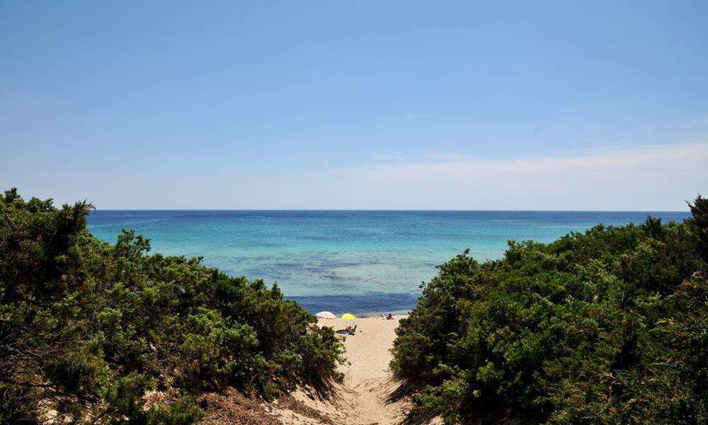 Spiaggia di Punta Prosciutto