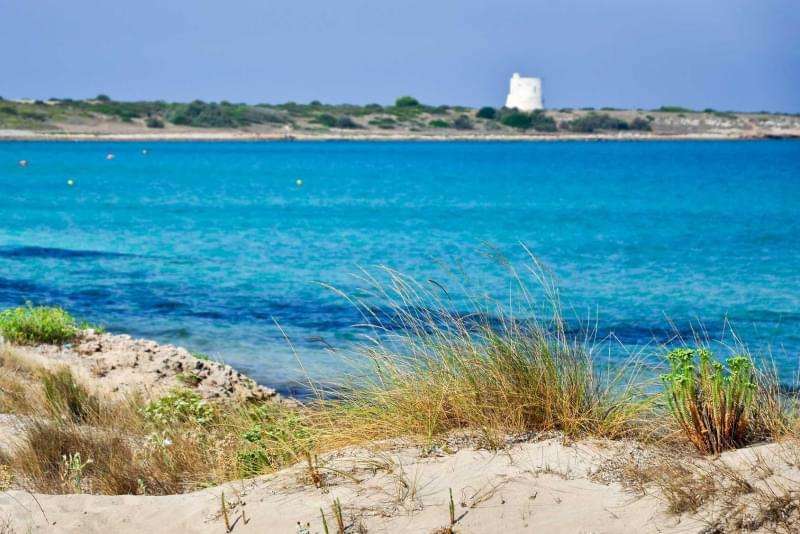 Spiaggia di Seno della Purità