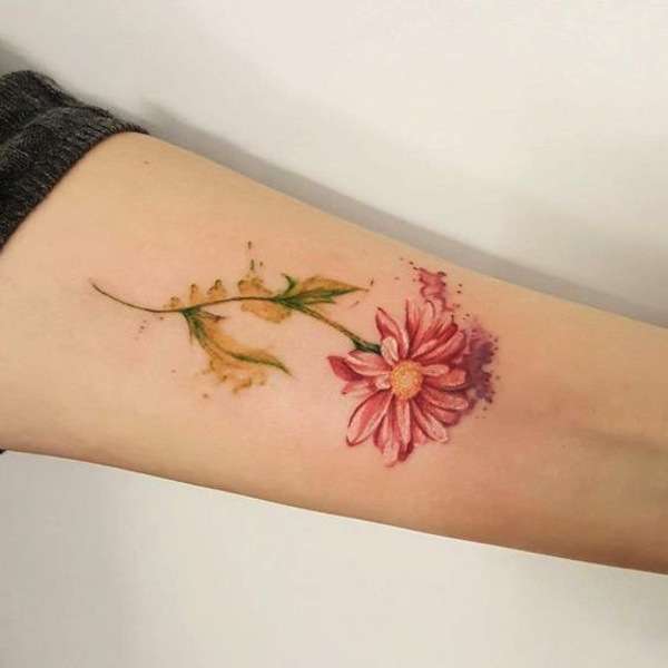 Tatuaggio sul braccio con margherita colorata
