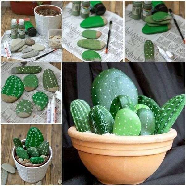 Cactus con sassi