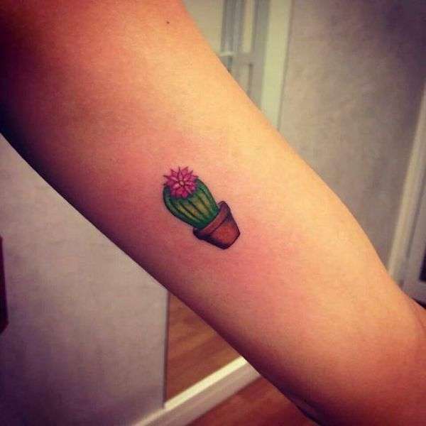 Piccolo tatuaggio con cactus colorato