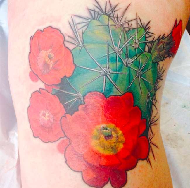 Tatuaggio grande colorato con cactus