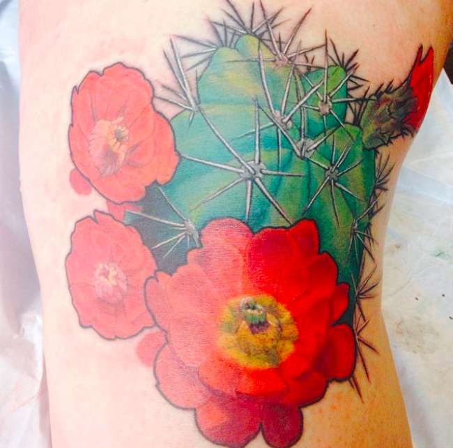 Tatuaggio grande colorato con cactus