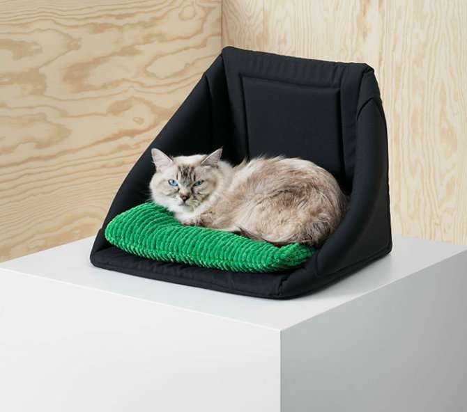 Cuscino e cuccetta IKEA per gatto