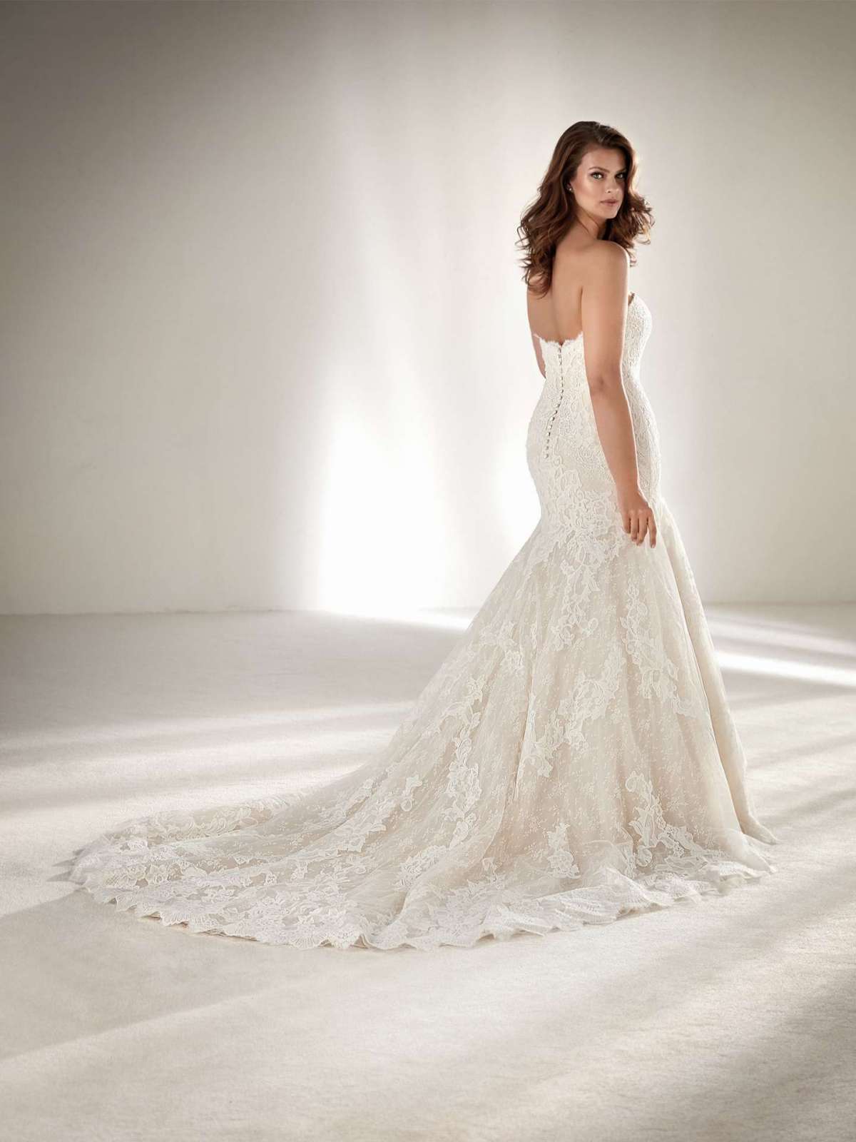 Abito in pizzo e tulle per taglie comode Pronovias Plus