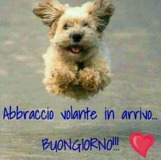 Abbraccio come buongiorno su WhatsApp