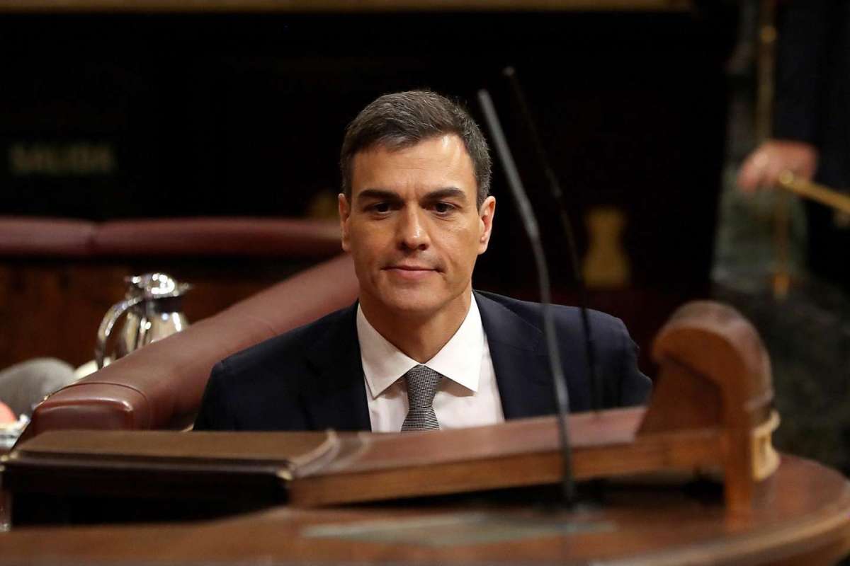 Pedro Sanchez primo ministro sexy