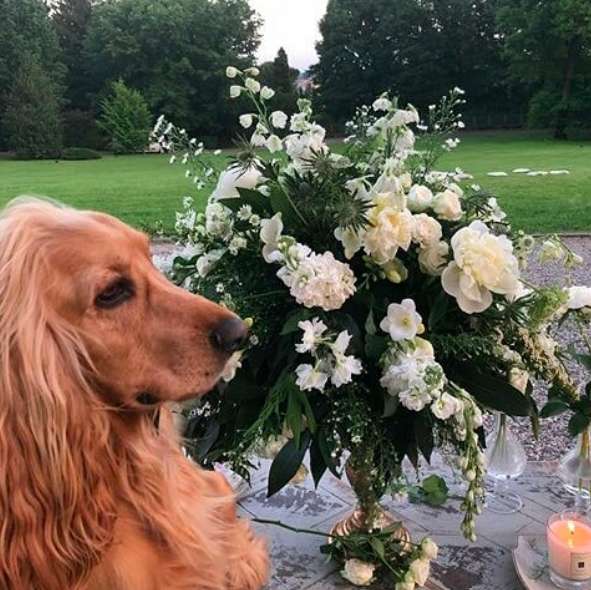 Whisky al matrimonio