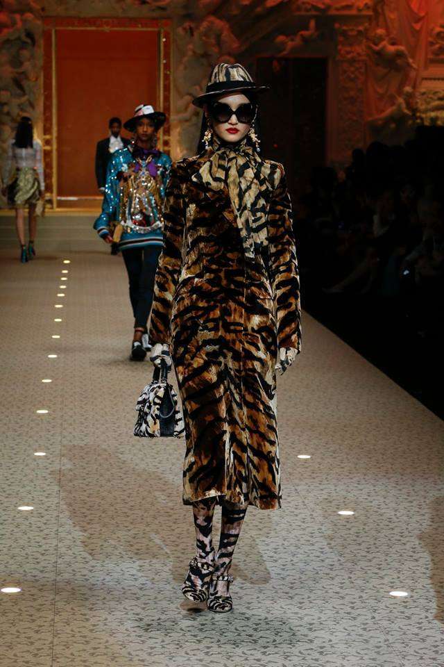 Cappotto animalier Dolce & Gabbana