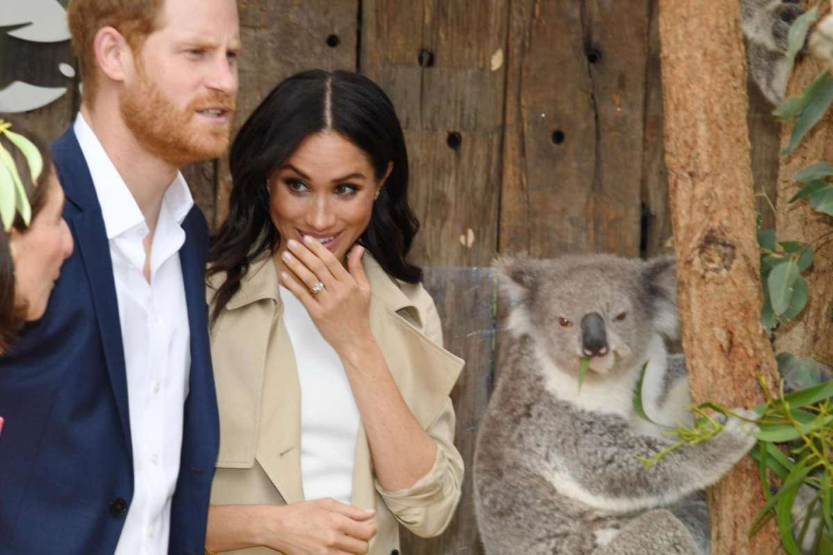 La Markle allo zoo