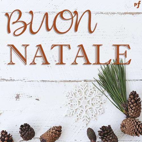 Auguri di Natale con pignette