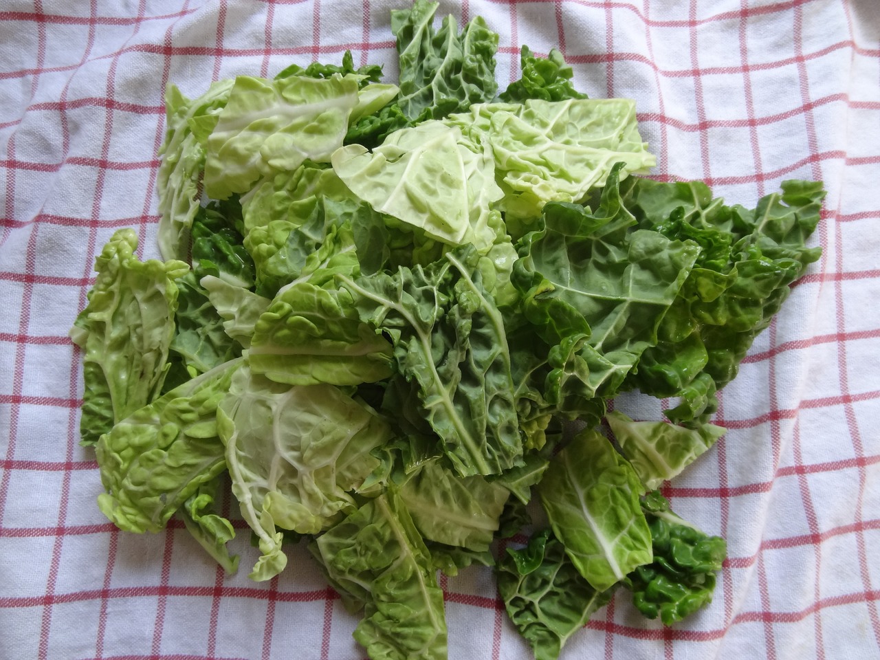 Verza stufata